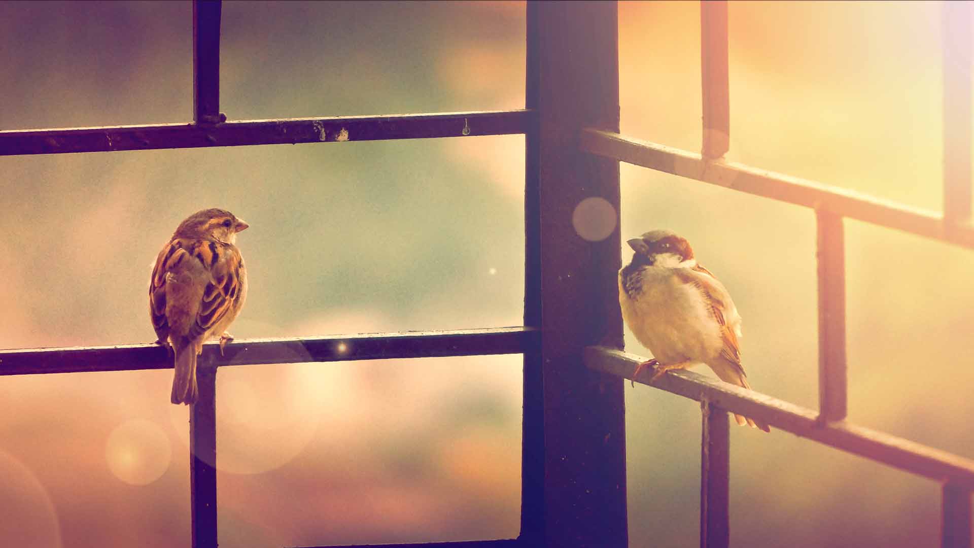 individual counselling